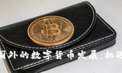 探寻中国在国外的数字货