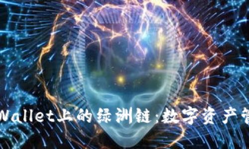 全面探索TPWallet上的绿洲链:数字资产管理的新风尚