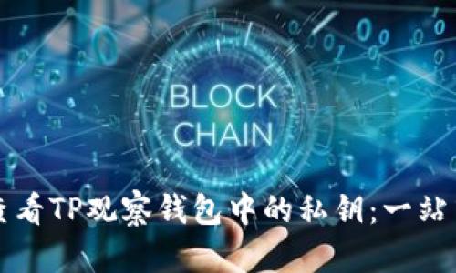 如何查看TP观察钱包中的私钥:一站式指南