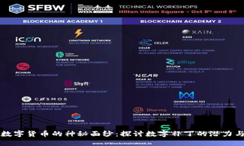 揭开数字货币的神秘面纱:探讨数字补丁的潜力与未来
