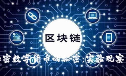 揭开加密数字货币的秘密:实验观察与结论