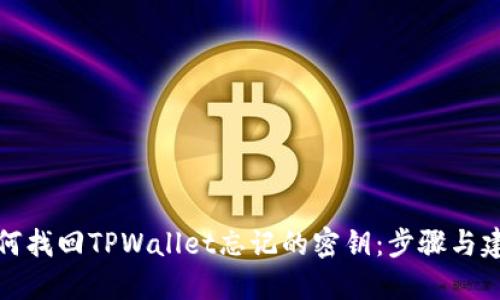 如何找回TPWallet忘记的密钥:步骤与建议