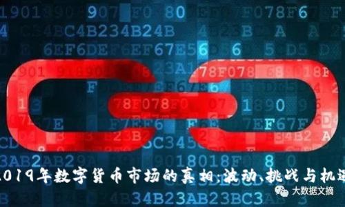 2019年数字货币市场的真相：波动、挑战与机遇