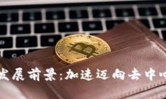 TPWallet的未来发展前景：加