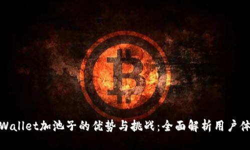 TPWallet加池子的优势与挑战：全面解析用户体验