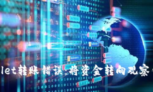 如何解决TPWallet转账错误：将资金转向观察钱包的应对措施