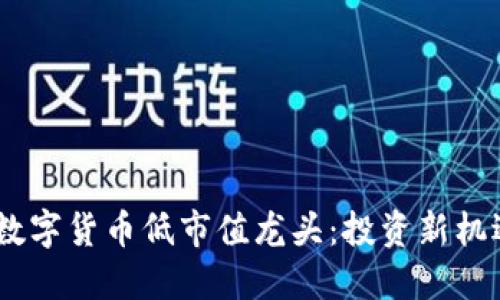 bibaoit挖掘数字货币低市值龙头:投资新机遇的快速指南