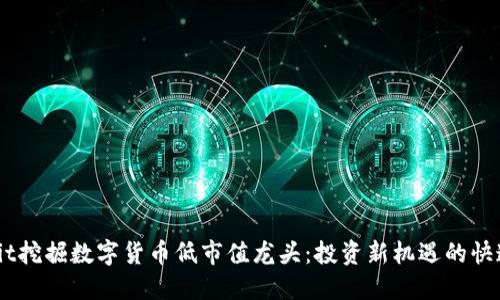 bibaoit挖掘数字货币低市值龙头:投资新机遇的快速指南