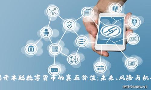 揭开本聪数字货币的真正价值：未来、风险与机会