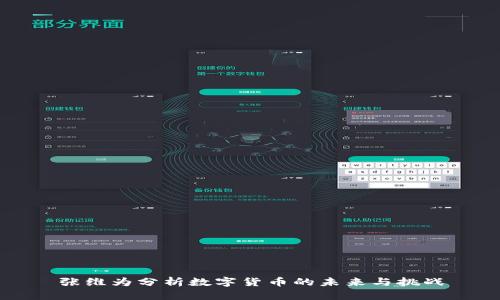 张维为分析数字货币的未来与挑战