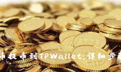 如何将Doge币提币到TPWallet:详细步骤与注意事项