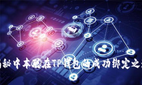 揭秘中本聪在TP钱包的成功绑定之道