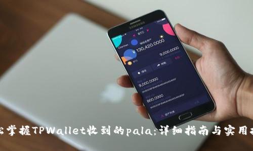 轻松掌握TPWallet收到的pala:详细指南与实用技巧