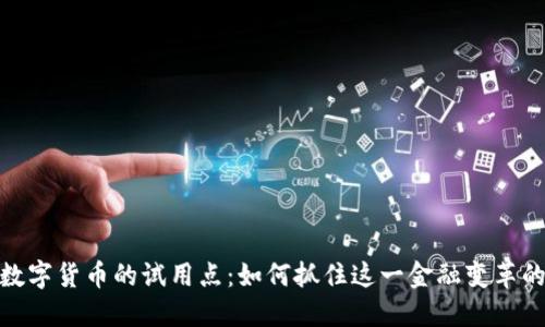 探索数字货币的试用点:如何抓住这一金融变革的机遇