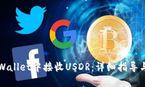 如何在TPWallet中接收USDR:详细指导与实用技巧
