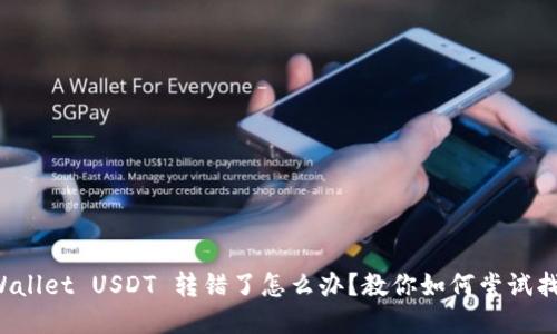 TPWallet USDT 转错了怎么办?教你如何尝试找回!
