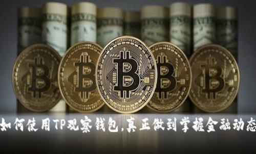 如何使用TP观察钱包，真正做到掌握金融动态
