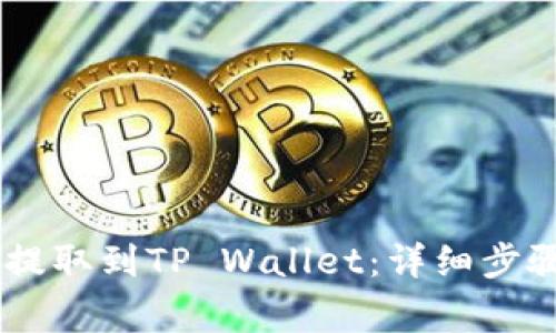 如何将BG币提取到TP Wallet:详细步骤与注意事项