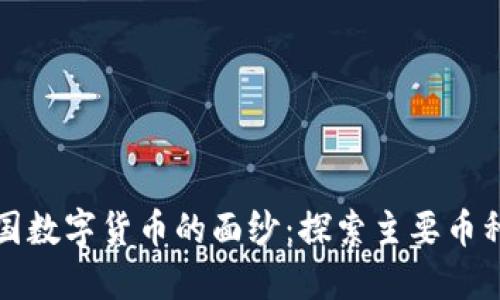 揭开美国数字货币的面纱：探索主要币种与未来