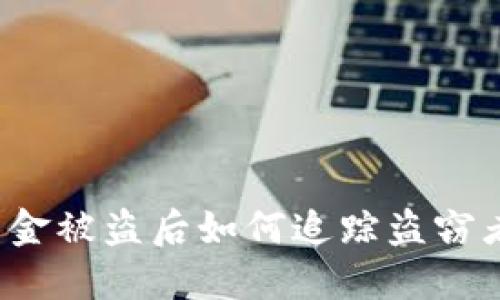 TP钱包资金被盗后如何追踪盗窃者的身份?