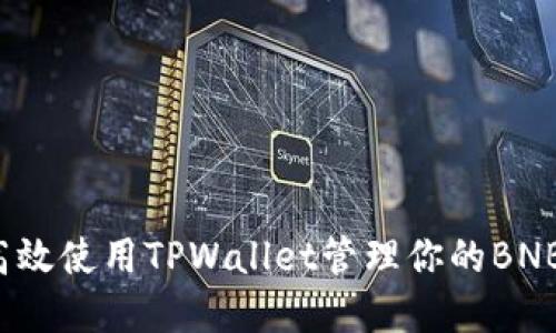 如何高效使用TPWallet管理你的BNB资产？