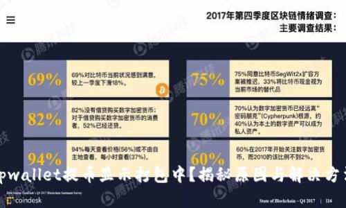 tpwallet提币显示打包中？揭秘原因与解决方法