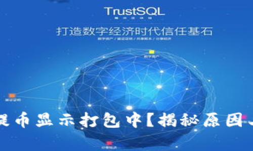 tpwallet提币显示打包中？揭秘原因与解决方法
