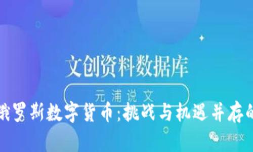 深入探索俄罗斯数字货币:挑战与机遇并存的金融革命