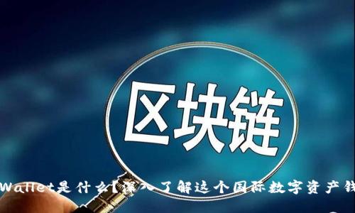 TPWallet是什么？深入了解这个国际数字资产钱包
