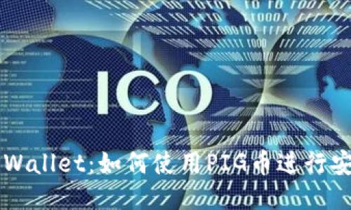 探索TPWallet:如何使用PIG币进行安全交易