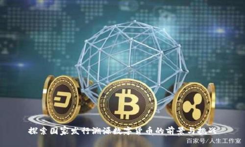 探索国家发行溯源数字货币的前景与挑战