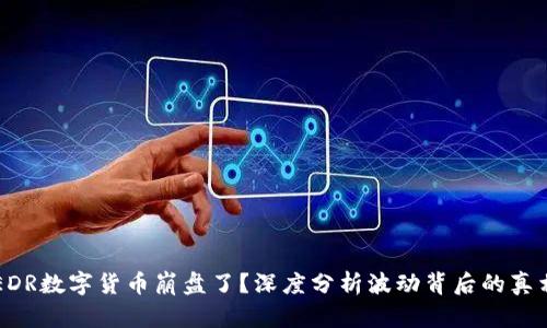 EDR数字货币崩盘了？深度分析波动背后的真相