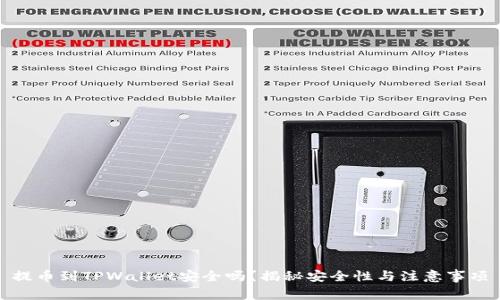 提币到TPWallet安全吗？揭秘安全性与注意事项