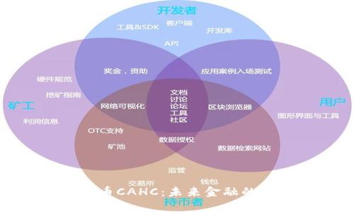 探秘数字货币CAHC:未来金融的崛起与挑战