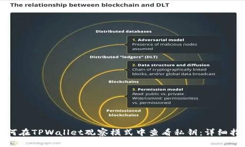 如何在TPWallet观察模式中查看私钥：详细指南