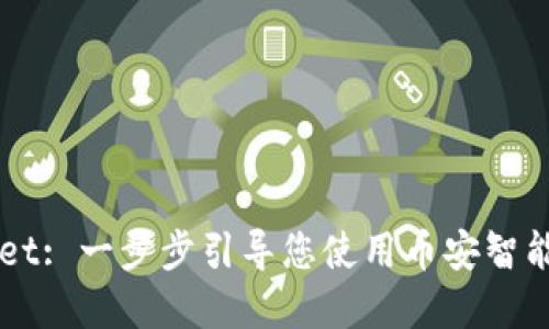 快速下载TPWallet: 一步步引导您使用币安智能链管理加密资产