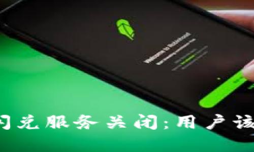 tpwallet闪兑服务关闭:用户该如何应对?