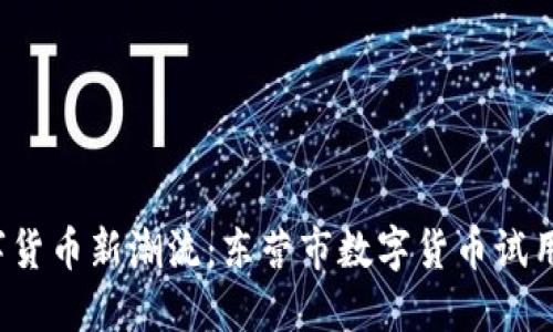 体验数字货币新潮流：东营市数字货币试用全攻略！