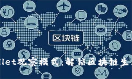 探索TPWallet观察模式:解锁区块链生态的新视角