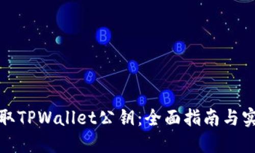 如何获取TPWallet公钥:全面指南与实用技巧