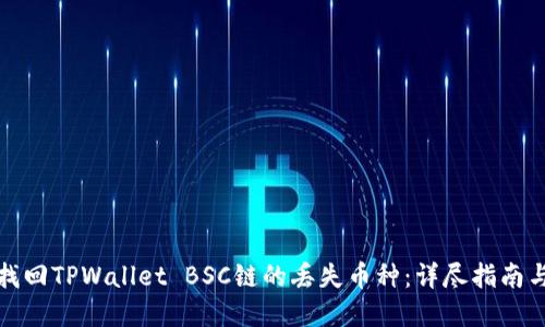 如何成功找回TPWallet BSC链的丢失币种：详尽指南与实用技巧