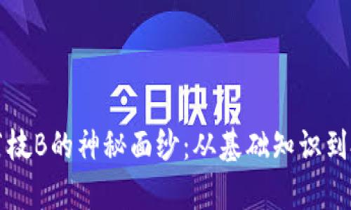 揭开数字货币荔枝B的神秘面纱：从基础知识到投资策略全解析