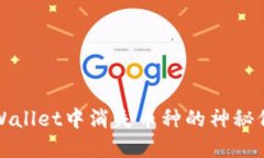 探索TPWallet中消失币种的神