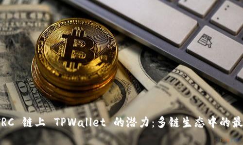 探索 TRC 链上 TPWallet 的潜力：多链生态中的最佳选择