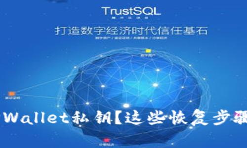 ziaoti丢失TPWallet私钥？这些恢复步骤你不能错过！