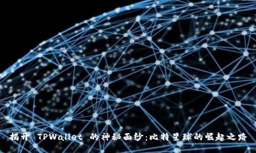 揭开 TPWallet 的神秘面纱：比特星球的崛起之路
