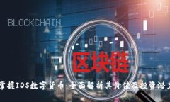 掌握IDS数字货币：全面解