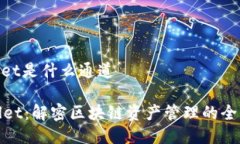 tpwallet是什么通道TPWallet：