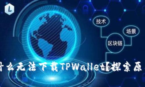 苹果手机为什么无法下载TPWallet？探索原因与解决办法