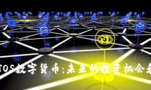 深入探讨TOS数字货币：未来的投资机会和风险分析